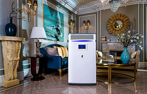 洛陽新雨環保科技批發價格 洛陽新雨環?？萍忌a廠家