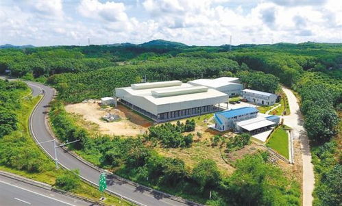 澄邁產業幫扶拔窮根 環?？萍间伨涂沙掷m發展之路